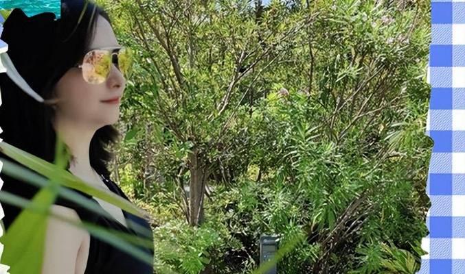 绝地求生绿色紧身裤获取途径是什么？穿上后有何影响？  第3张