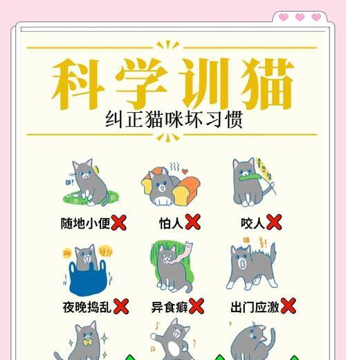 猫哥打怪的技巧是什么？如何提高打怪效率？  第1张