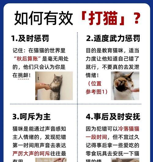 猫哥打怪的技巧是什么？如何提高打怪效率？  第2张