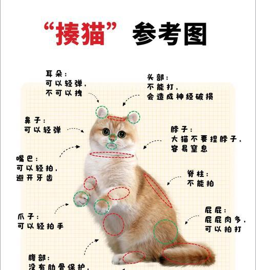 猫哥打怪的技巧是什么？如何提高打怪效率？  第3张