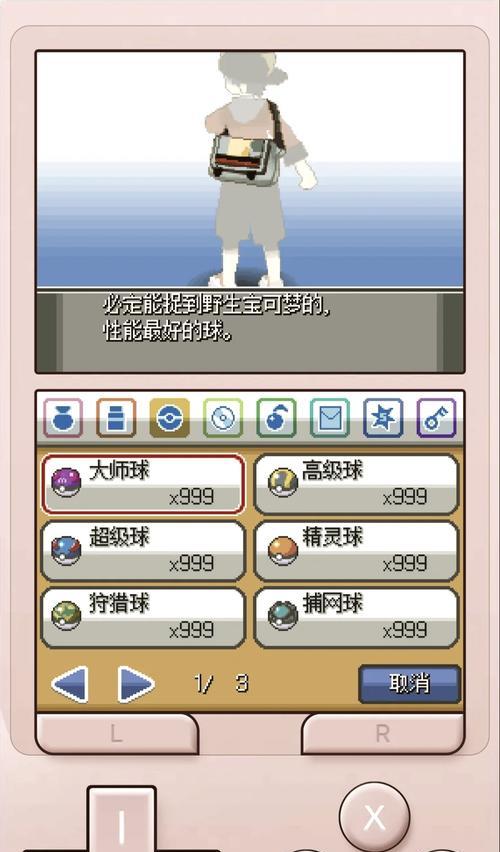 口袋妖怪金版如何调整为中文显示？  第3张