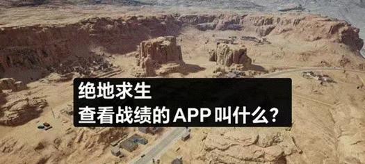 绝地求生战绩怎么看？如何查看自己的游戏战绩？  第2张