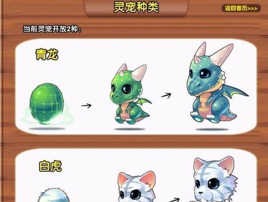 彩虹岛中灵宠的获取方式有哪些？如何获得？  第1张