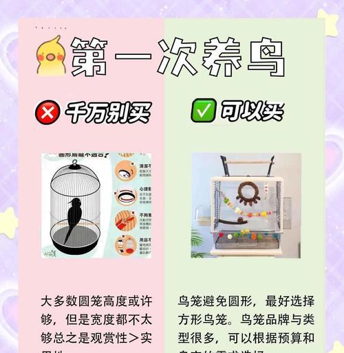 我的世界中养鸟的方法和技巧是什么？  第2张