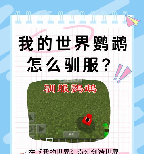 我的世界中养鸟的方法和技巧是什么？  第1张