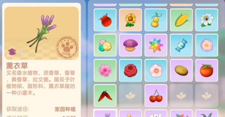 王者荣耀中平地无风的获取方法是什么？  第2张