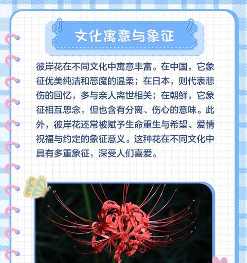 彼岸花的克制方法有哪些？如何在战斗中有效对抗彼岸花？  第3张