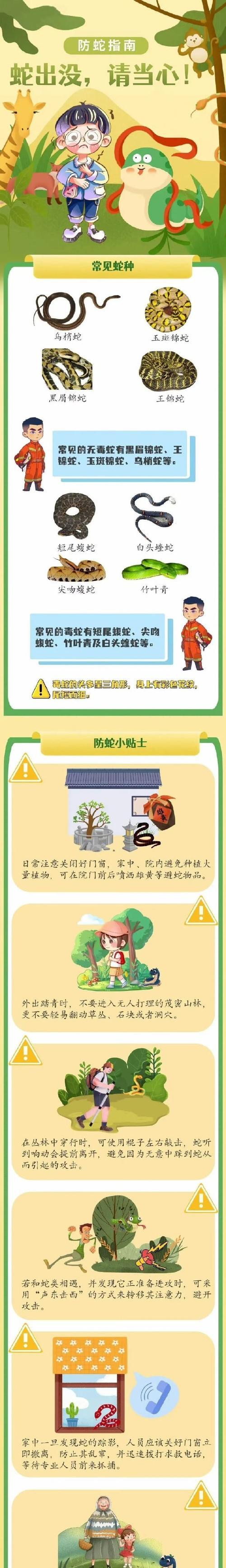 忘记分享大蛇后如何补救？  第2张