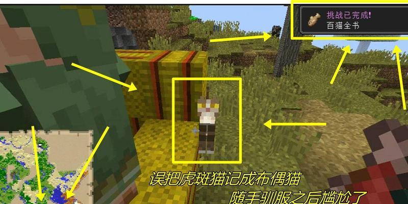 我的世界中驯养猫的步骤是什么？需要哪些材料？  第1张