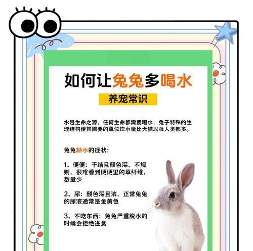 我的世界兔子怎么解决？处理兔子问题的建议有哪些？  第2张
