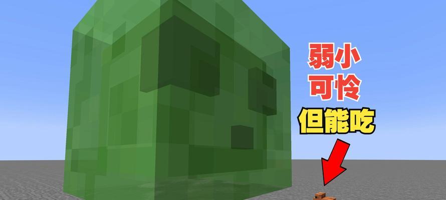 我的世界青蛙圈养方法及好处是什么？  第2张