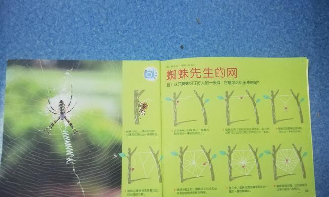 蜘蛛爬行（透过游戏体验）  第2张