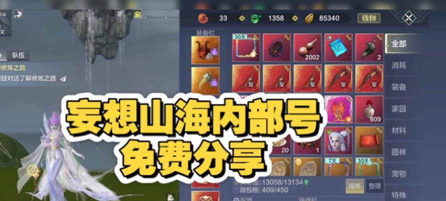 《解锁妄想山海宠物技能替换攻略》（如何有效替换宠物技能提升战斗力）  第1张