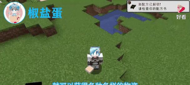 我的世界中如何调整蹲下？调整蹲下有什么作用？  第3张