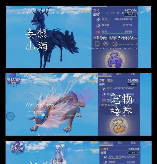 《山海宠物寿命恢复指南》（游戏中如何延长宠物寿命）  第2张