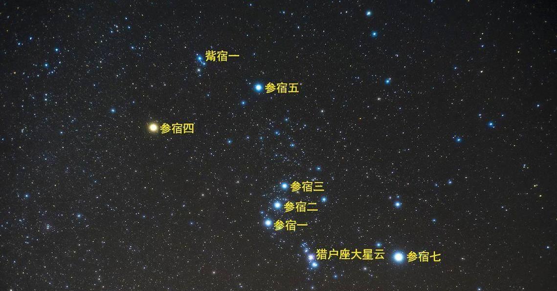 老农种树星座游戏（老农们快来玩）  第1张