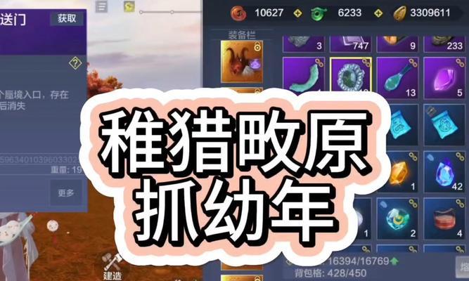 妄想山海宠物培养攻略（游戏玩家必读的宠物选择与培养攻略）  第1张