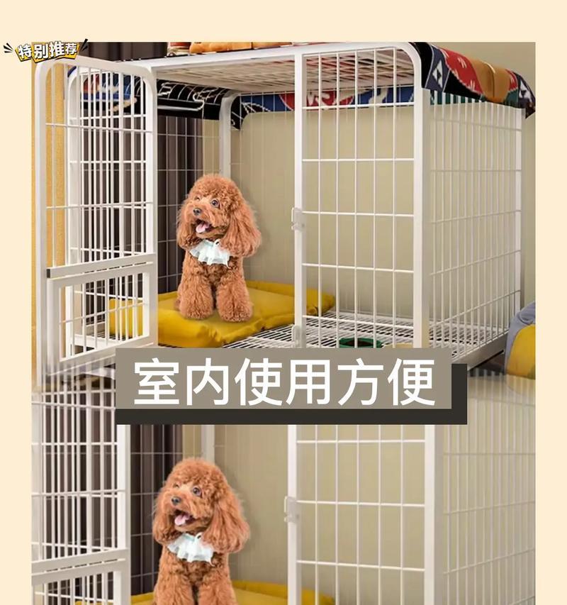 狗窝设计的要点是什么？  第1张
