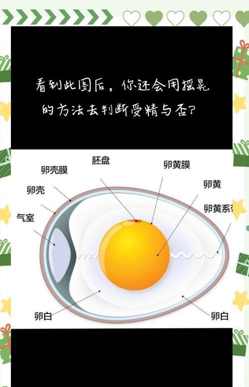我的世界中臭蛋孵化的正确方法是什么？  第3张