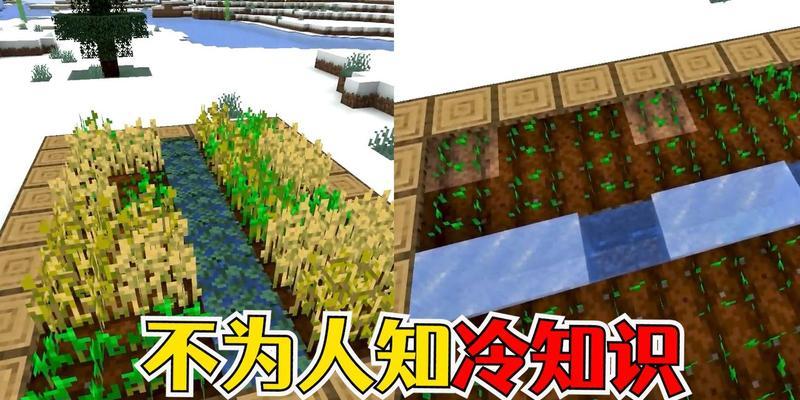 我的世界中水如何结冰？有哪些方法可以实现？  第1张