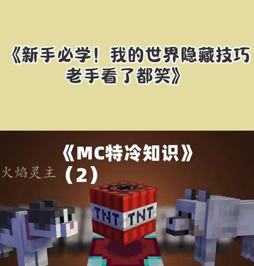 我的世界观察者使用技巧是什么？  第1张