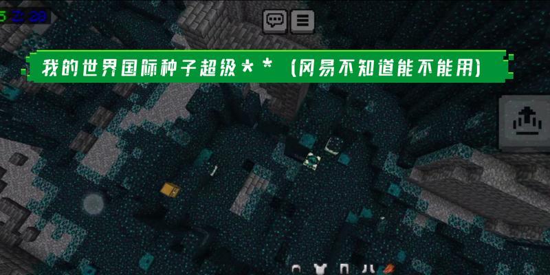 我的世界修仙世界种子使用方法是什么？种子有何特殊效果？  第1张
