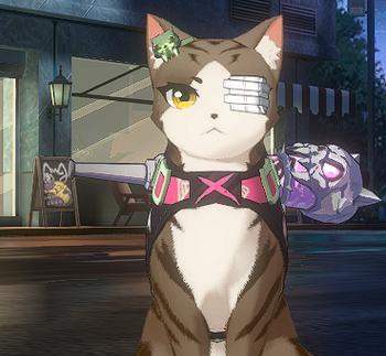 猫之城金涂鸦速刷攻略（掌握技巧）  第2张