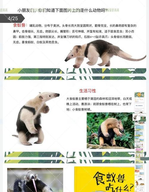 我的世界捕捉食蚁兽的步骤是什么？  第1张