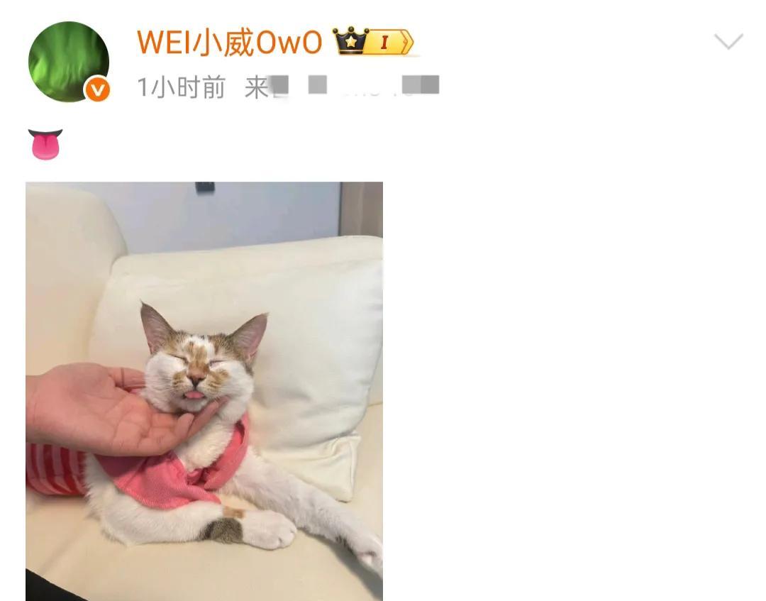 LPL女解说被BLG气到破防！Wei狂刷火箭庆贺，Bin沉默不语引争议  第5张