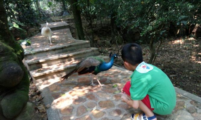 寻仙白云关怎么去？如何快速到达目的地？  第2张