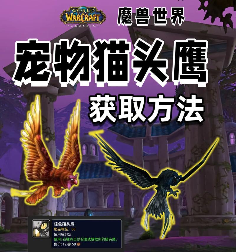 寻仙手游中猫头鹰的获取方法是什么？  第1张