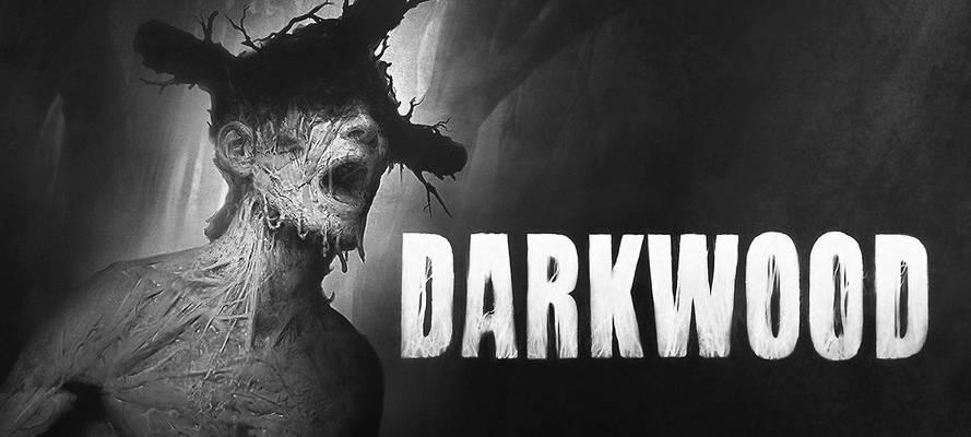 《阴暗森林》游戏过夜技巧大揭秘（掌握这些技巧）  第3张