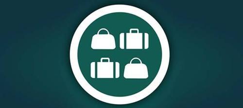 《行李管理》游戏新手入门指南（学会如何高效管理行李）  第1张