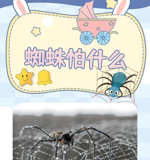 部落冲突中大蜘蛛的应对策略有哪些？  第2张