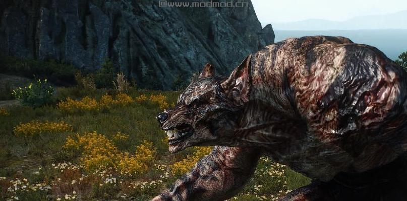 《巫师3》新版本狼人牌组（精心打造的狼人牌组助你成为游戏中的王者）  第2张