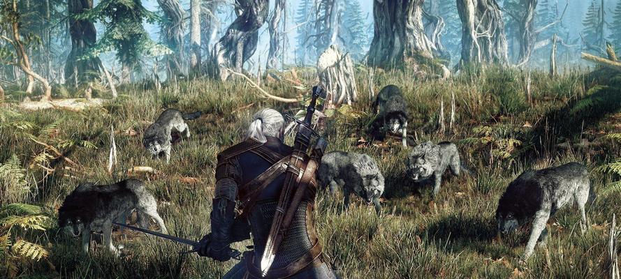 巫师3(掌握怪物弱点) 第3张 巫师3(掌握怪物弱点) 第3张