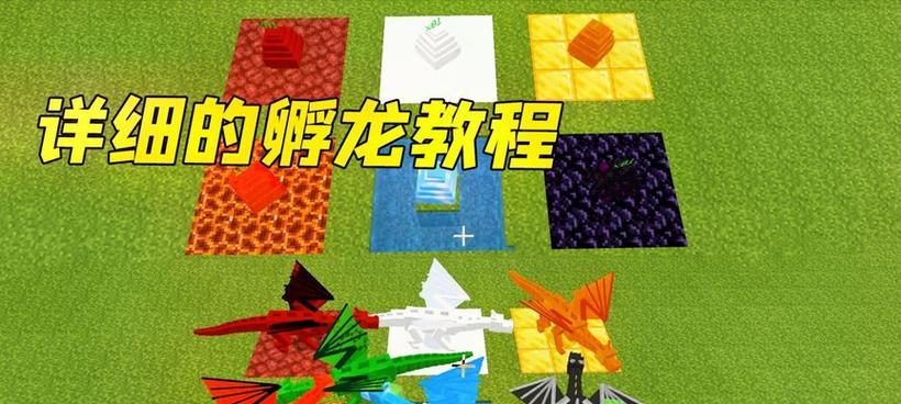 我的世界孵龙蛋的正确步骤是什么？  第2张