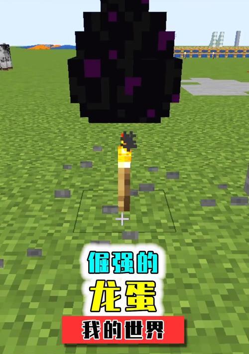 我的世界孵龙蛋的正确步骤是什么？  第3张