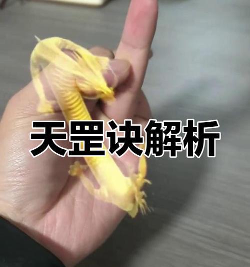 部落冲突天罡决阵的使用方法是什么？如何正确部署天罡决阵？  第3张