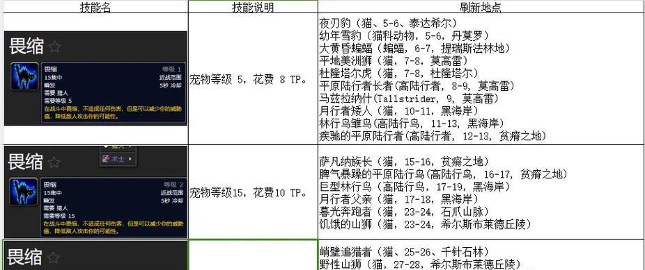 魔兽世界中猎人职业的玩法指南？  第3张