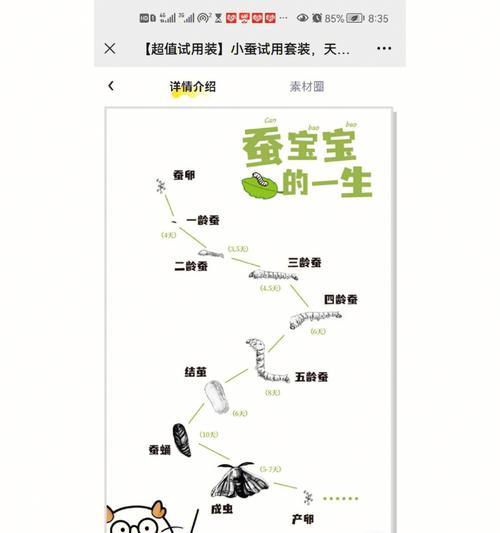 梦幻西游手游寒雉霜蚕属性攻略（寒雉霜蚕属性分析、获得方法、培养技巧一网打尽）  第1张