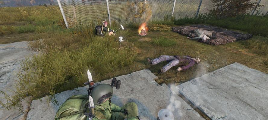 《H1Z1与DayZ测评对比感受》（探究两款游戏的异同）  第1张