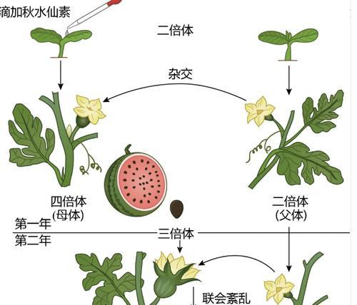 Temtem繁殖培育全攻略（从基础到进阶）  第2张