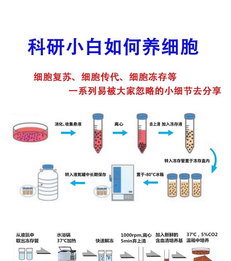 Temtem繁殖培育全攻略（从基础到进阶）  第3张