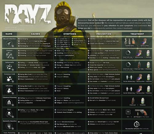 DayZ（一步步教你在DayZ中建立属于自己的庇护之地）  第1张